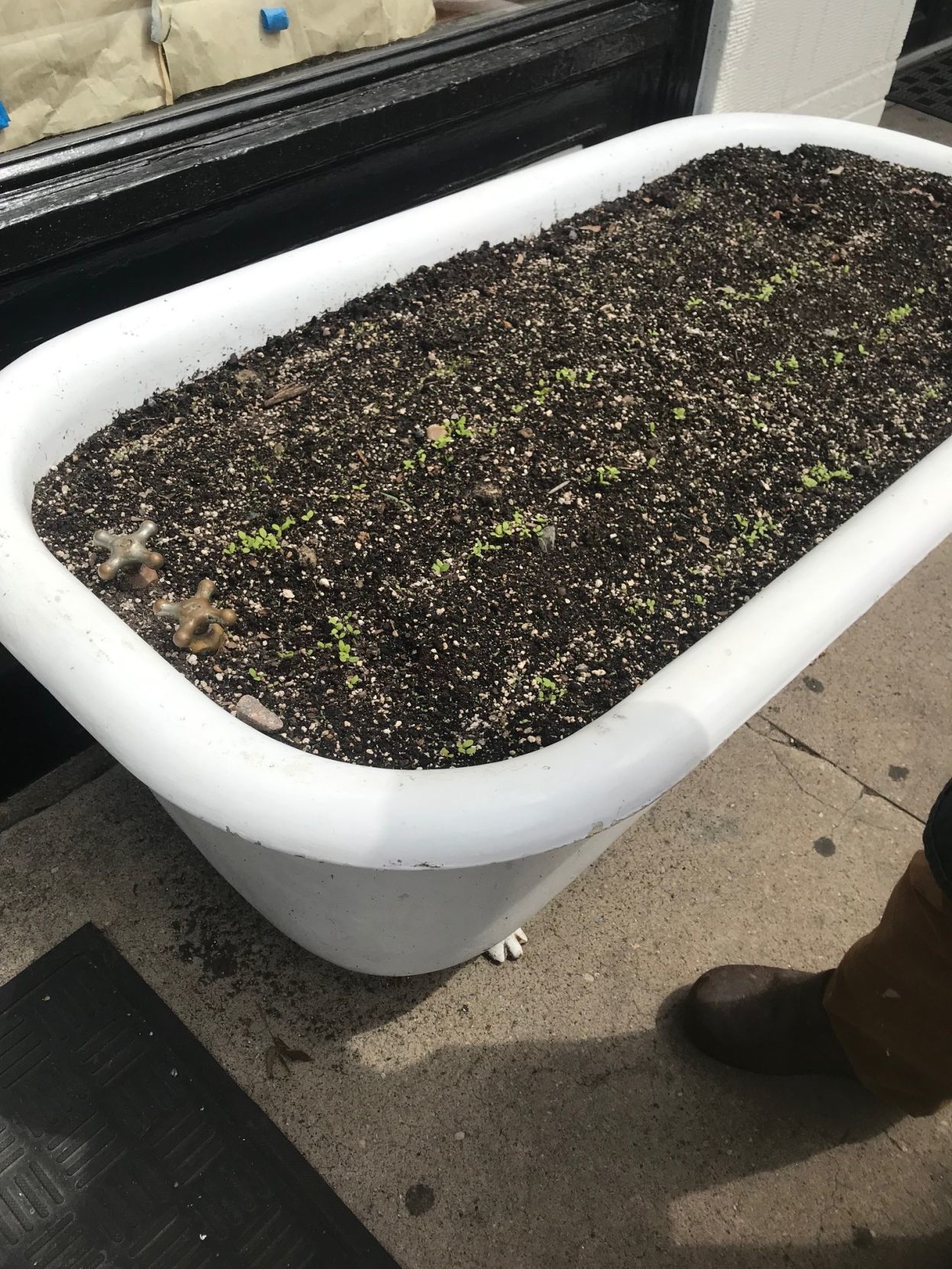 Scuffletown Garden